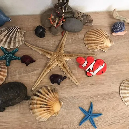 Oda ve Kahvaltı La Pervinca